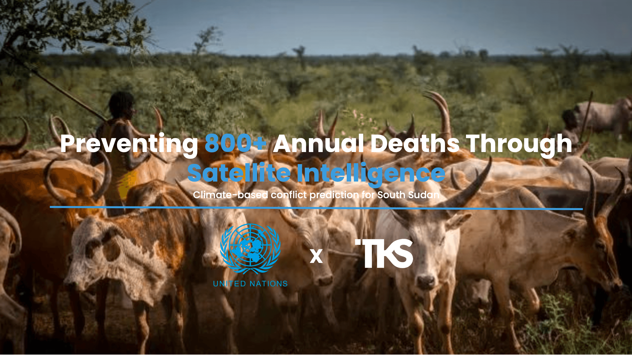 United Nations Executive Proposal preview